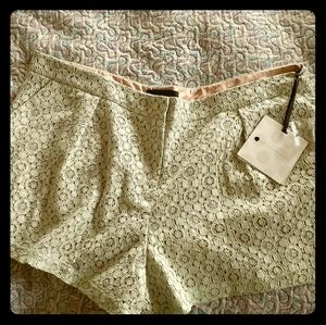 NWT Sage Green lace shorts. Victoria Beckham